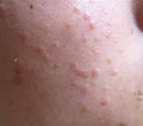 ���������Ʊ�ƽ�����