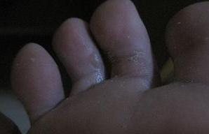 ����Ѣ����