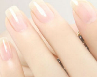 �������ƻ�ָ��