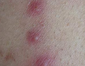 ����ݡ�����ԭ����ʲô