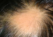 ��ͺ���Ʒ���