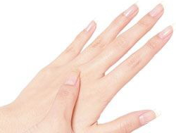 ��α����ָ���ڼ�ͥ���໥��Ⱦ