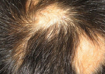 ���ư�ͺ������Щ�����Ʒ���