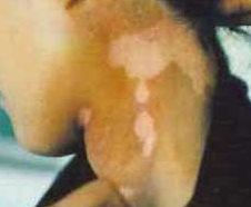 ����Ĳ�����ʲô