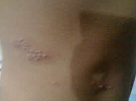 ��״����������ƱȽϺ�