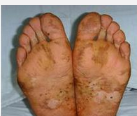 �ǻ�������Ѣ���Ʒ���